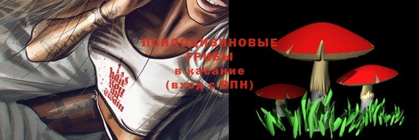 гашиш Надым