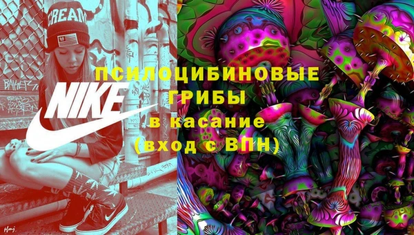 соль ск Навашино