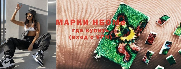 сатива Нефтекумск