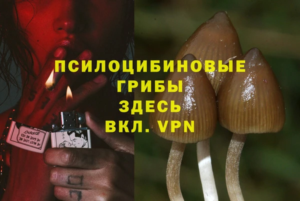 соль ск Навашино