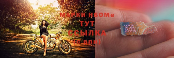 сатива Нефтекумск