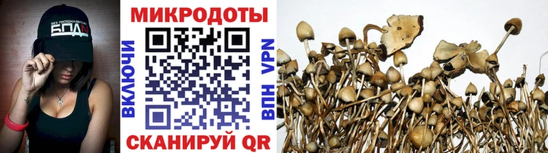 сколько стоит  Крым  ссылка на мегу вход  Псилоцибиновые грибы GOLDEN TEACHER 